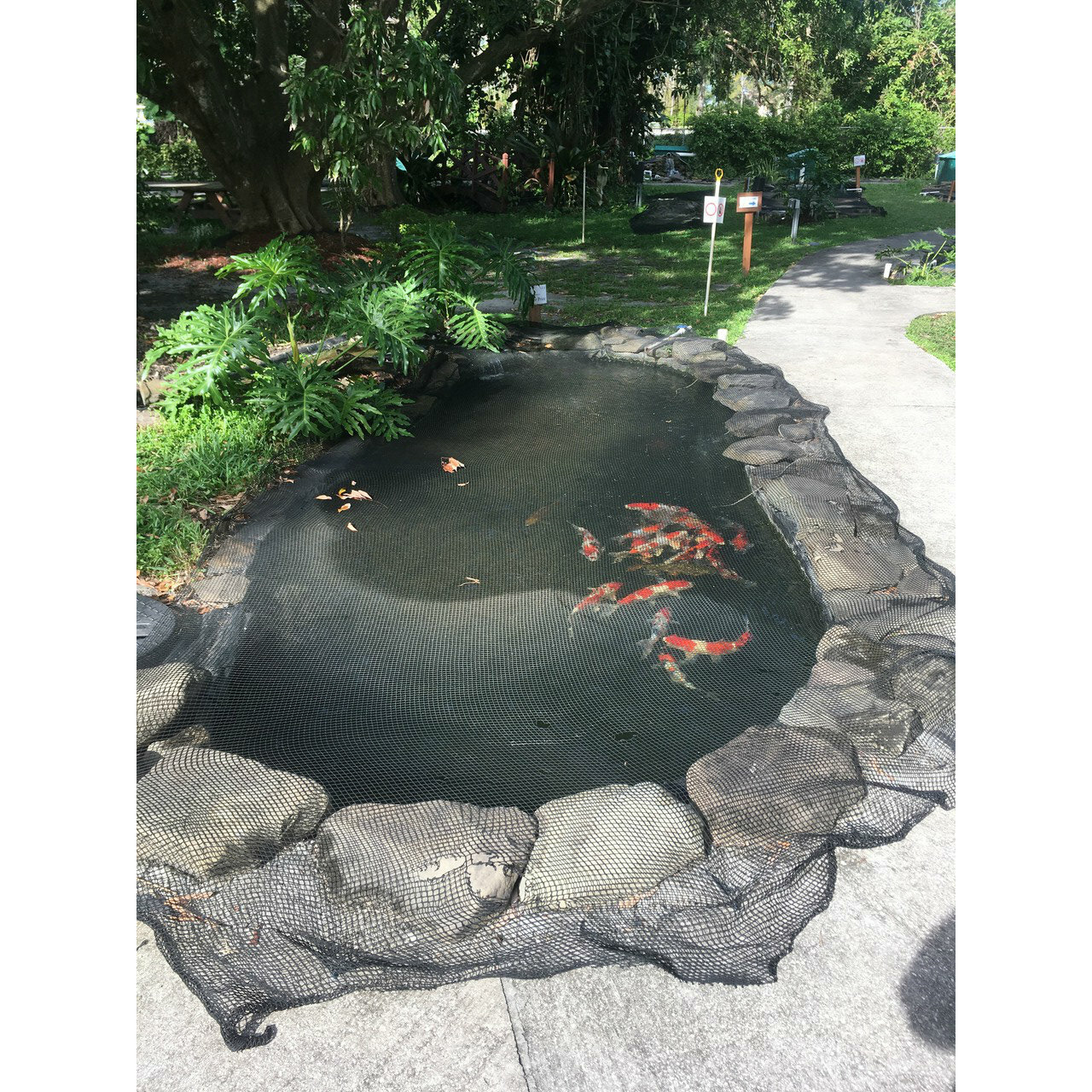 Premium Pond Cover Net 10'W x 1' - Kodama Koi Supply