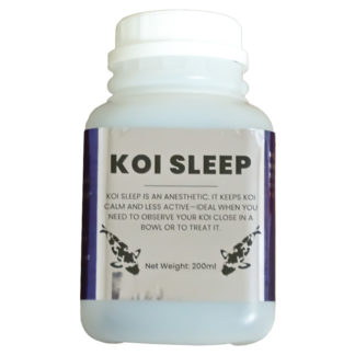 Koi Sleep