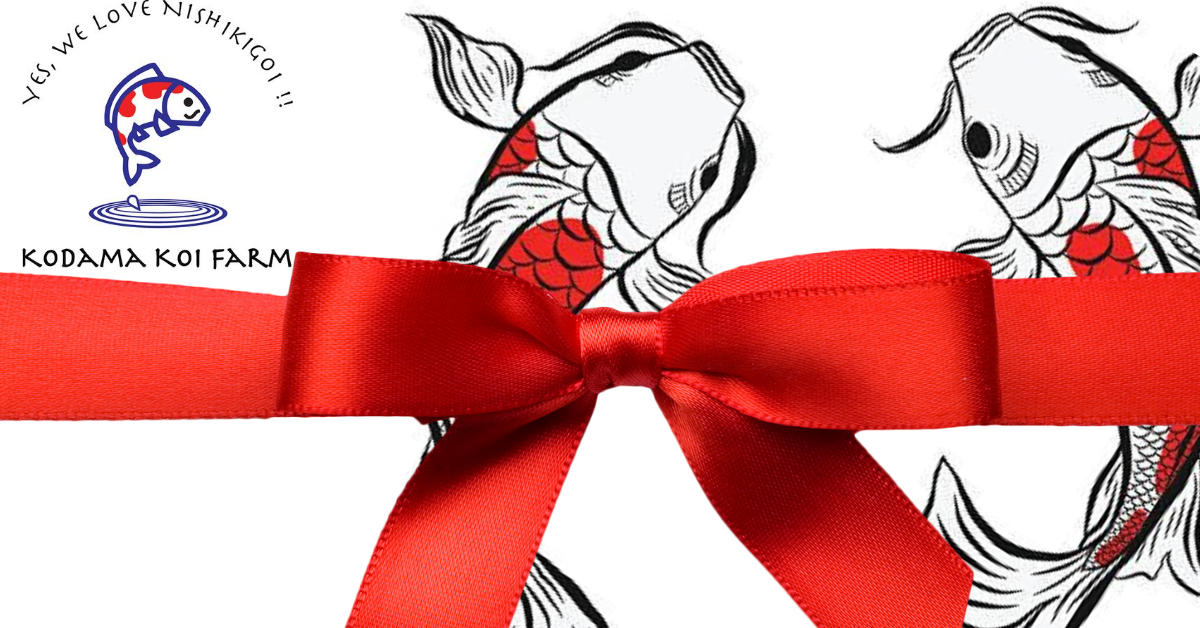 Top 10 Gift Ideas for Koi Lovers, Men, & Women - Kodama Koi Supply