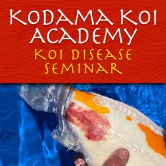 Koi Academy - Koi Disease Seminar