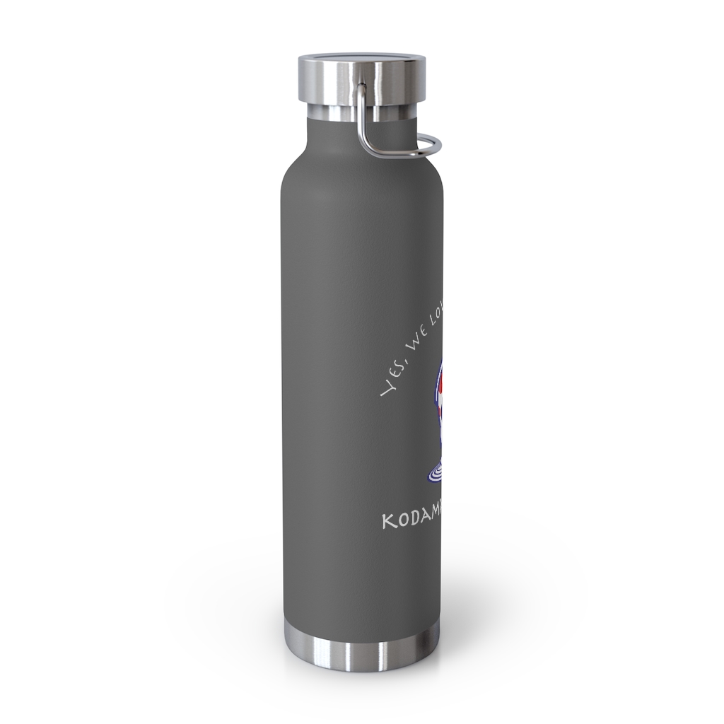 22oz Vacuum Insulated Bottle